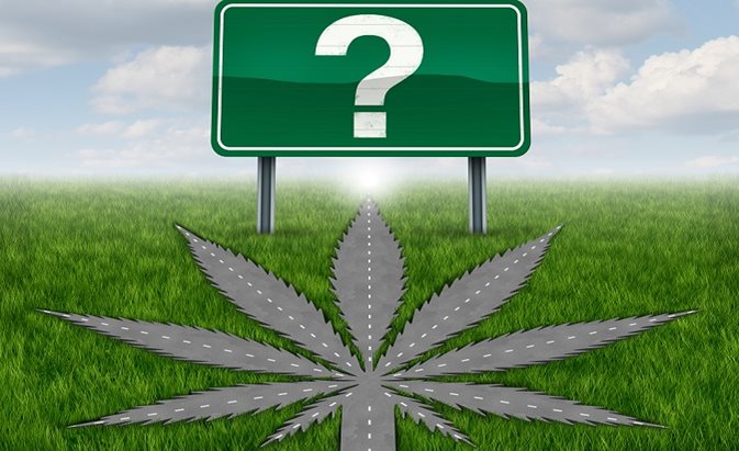 Cannabis plant styled as a roadway leading to a green sign with a question mark