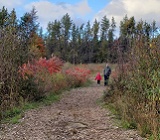 man and child walking side by side along a path in an autumnal, tree- and shrub-filled park, enjoying nature