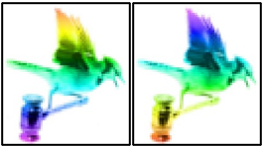 The image - or trademark - consists of a hologram of a pixelated blue jay holding a gavel as depicted in the visual representation. The visual representation depicts different views of the same trademark. The trademark has a holographic rainbow colour effect and the applicant claims the colours red, orange, yellow, green, blue, indigo, violet as a feature of the trademark