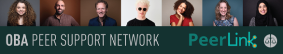 Peer Support Network banner featuring photos of a diverse group of lawyers