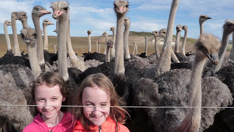 Two young Girls among a group of Emus